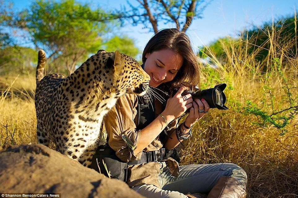 全球最性感的野生动物摄影师！现实版的美女与野兽(1)